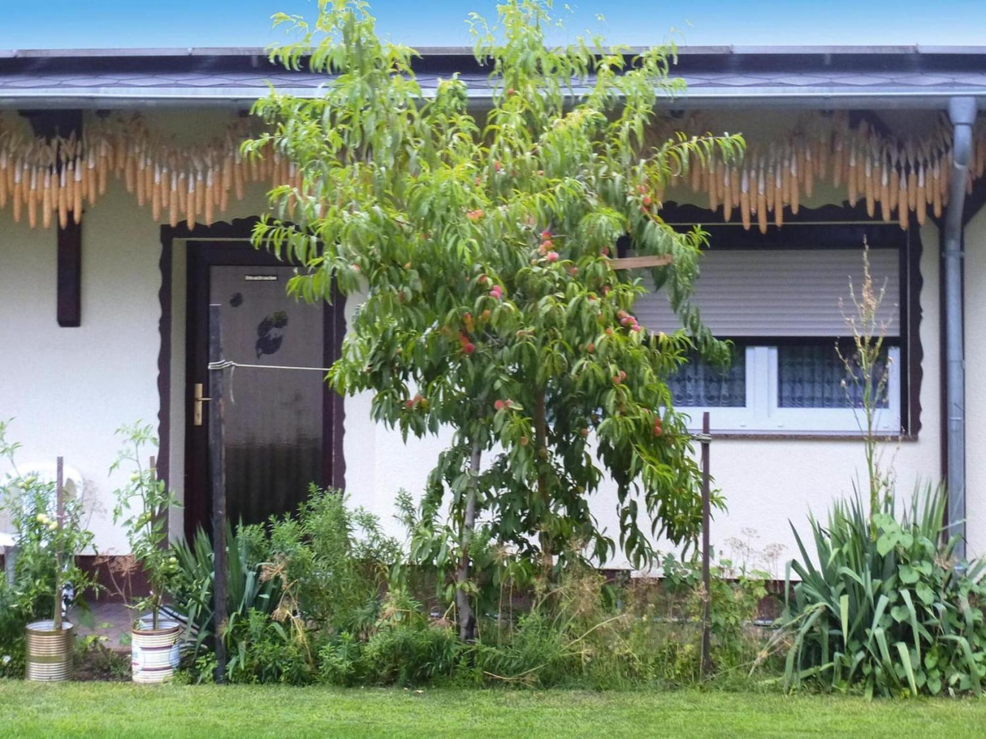 Bungalow In L Bben With A Terrace Lübben Kültér fotó